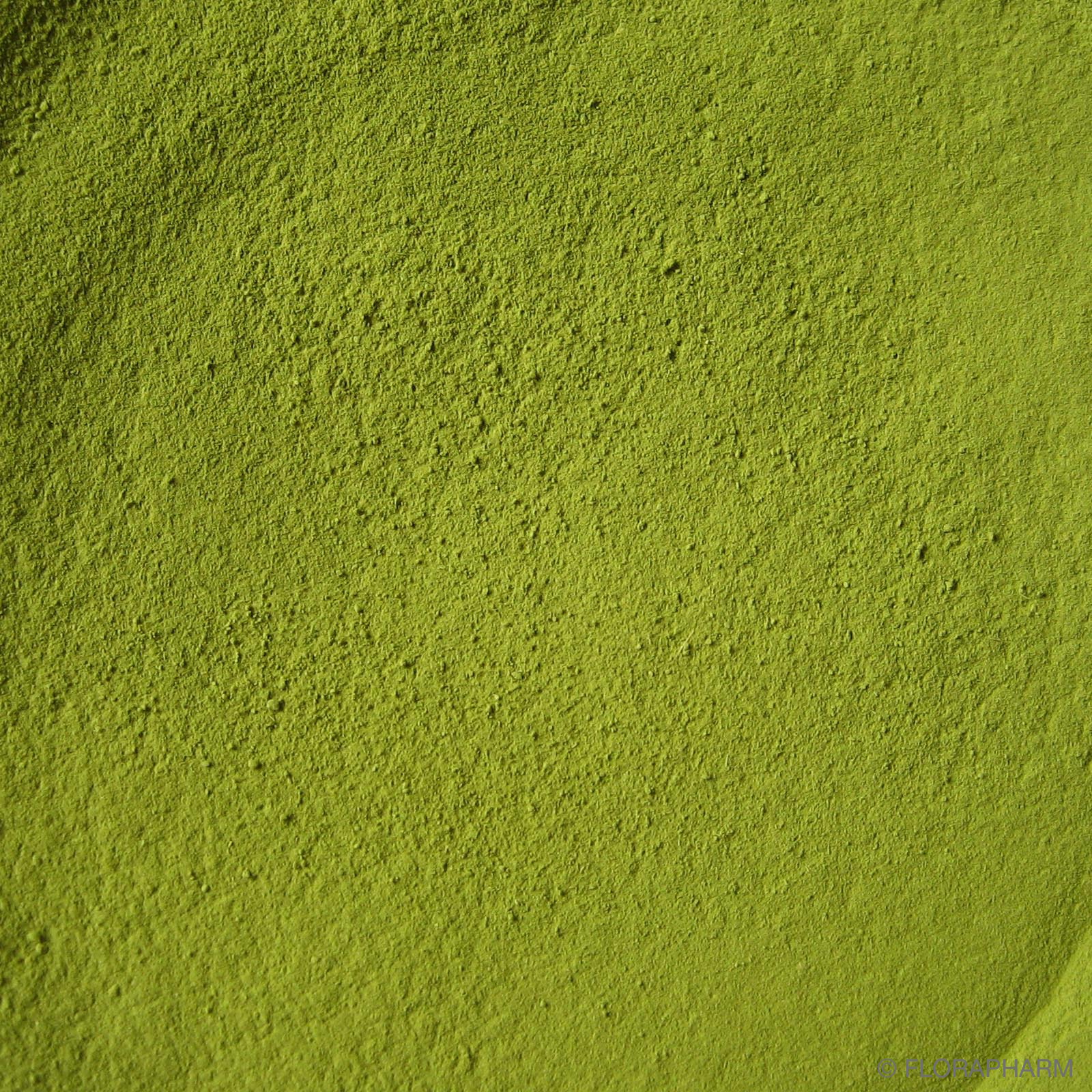 Premium Japan Matcha spezial