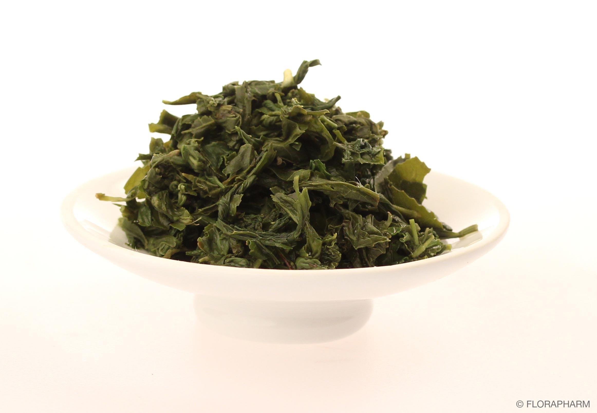 Premium Joongjak Südkorea