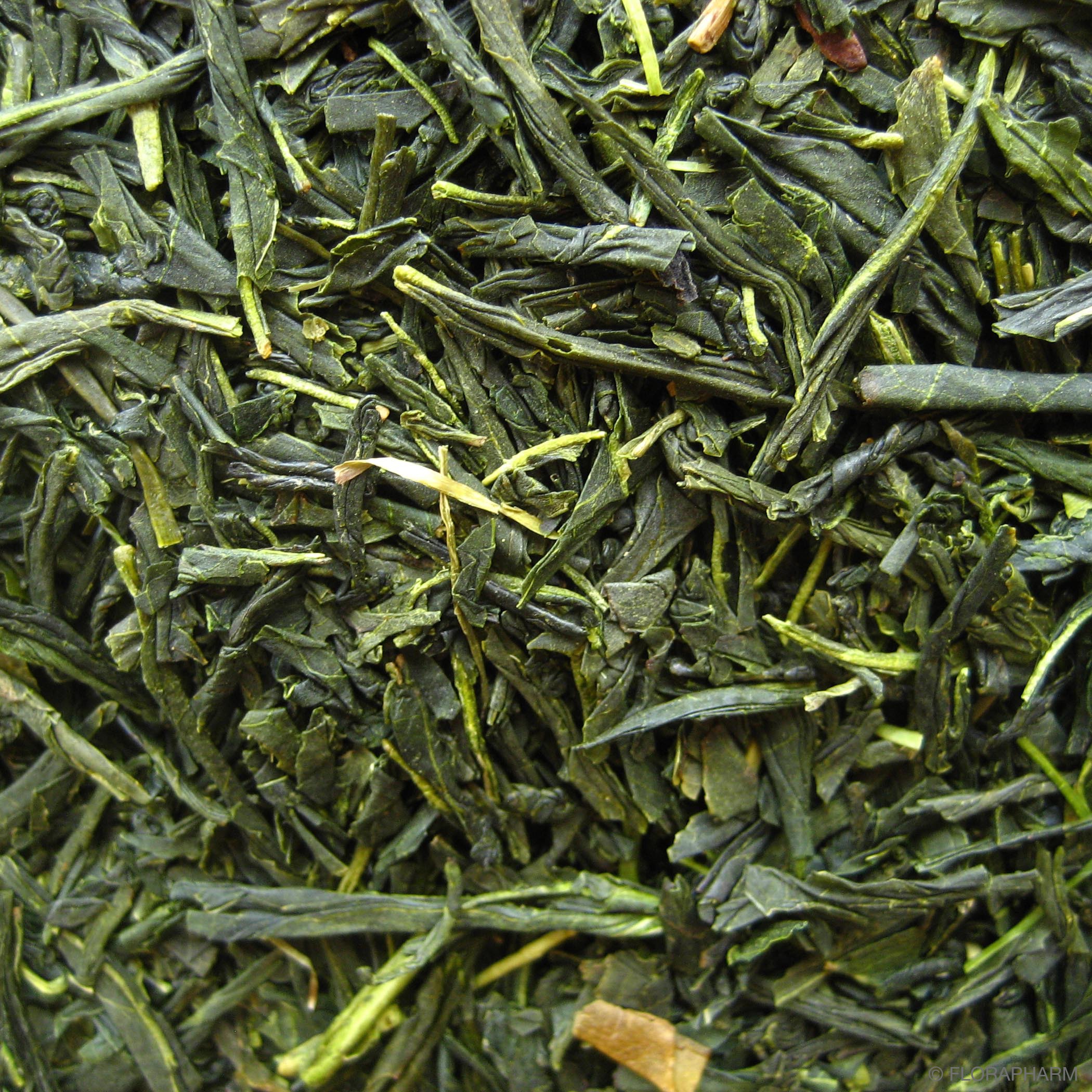05050_KBA_Satsuma58850ad3a34ea Premium Sencha Satsuma Japan
